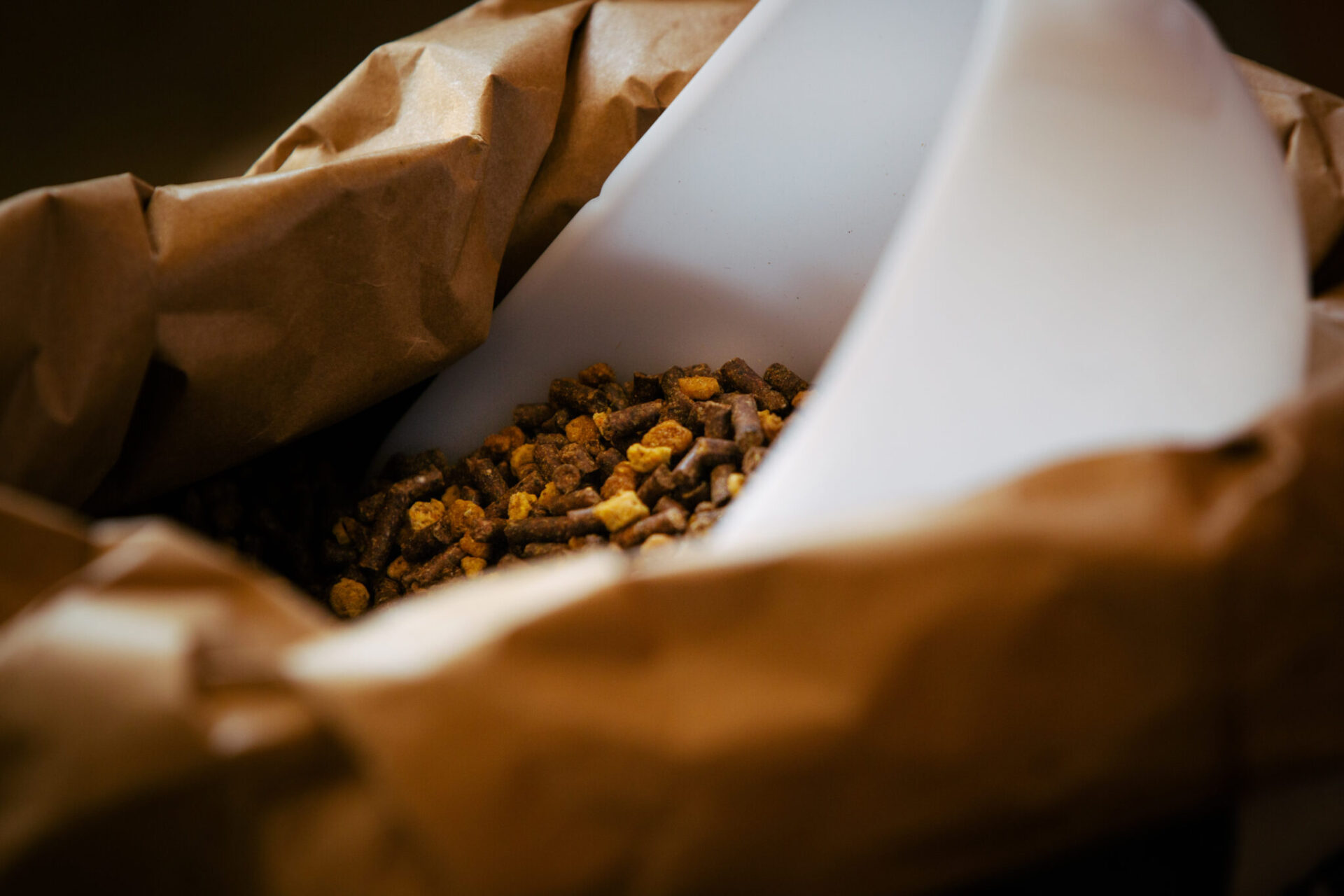 Carboidrati, che ruolo hanno nell'alimentazione del cavallo? Le indicazioni di Cortal Horse 1