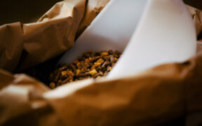 Carboidrati, che ruolo hanno nell'alimentazione del cavallo? Le indicazioni di Cortal Horse 1