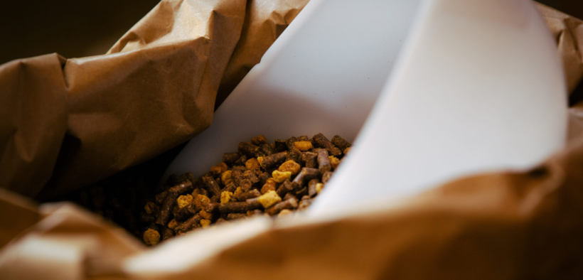 Carboidrati, che ruolo hanno nell'alimentazione del cavallo? Le indicazioni di Cortal Horse 1