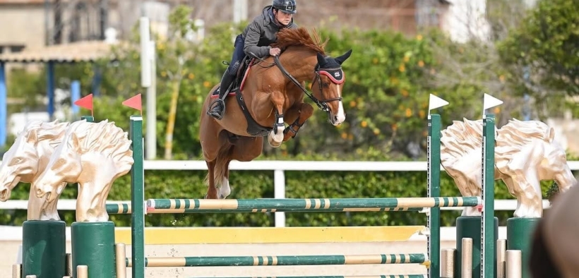 Cavalli di 6 anni che stanno realizzando il maggior numero di percorsi netti a livello internazionale