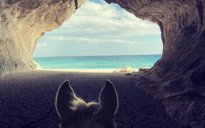 FISE lancia “HorsEssence – Itinerari Equestri”, il progetto dedicato al turismo equestre sostenibile