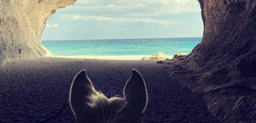 FISE lancia “HorsEssence – Itinerari Equestri”, il progetto dedicato al turismo equestre sostenibile