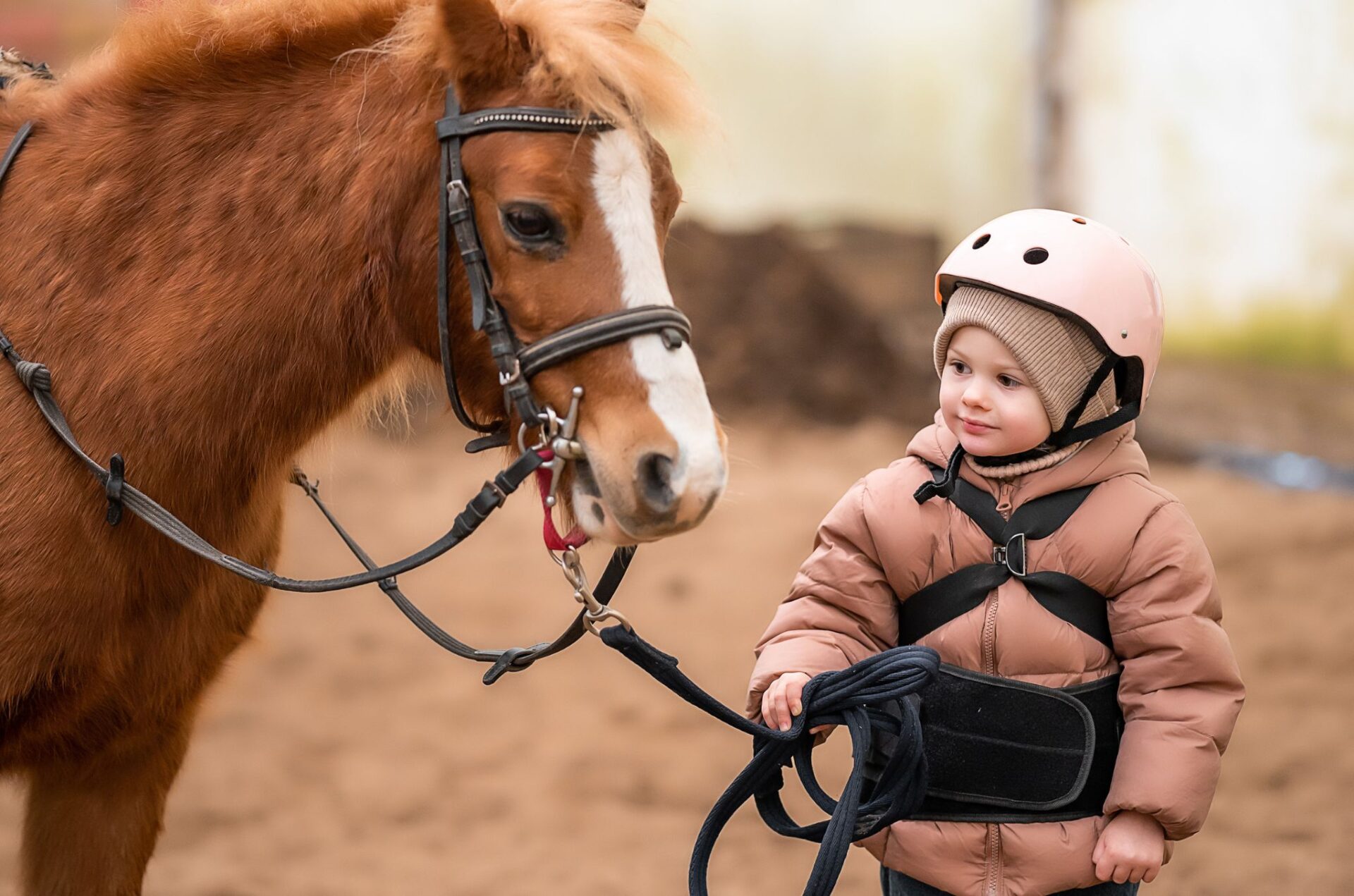 Le scuole di equitazione sotto pressione: i problemi emersi in Austria valgono anche per l’Italia?
