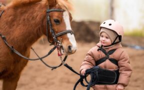 Le scuole di equitazione sotto pressione: i problemi emersi in Austria valgono anche per l’Italia?