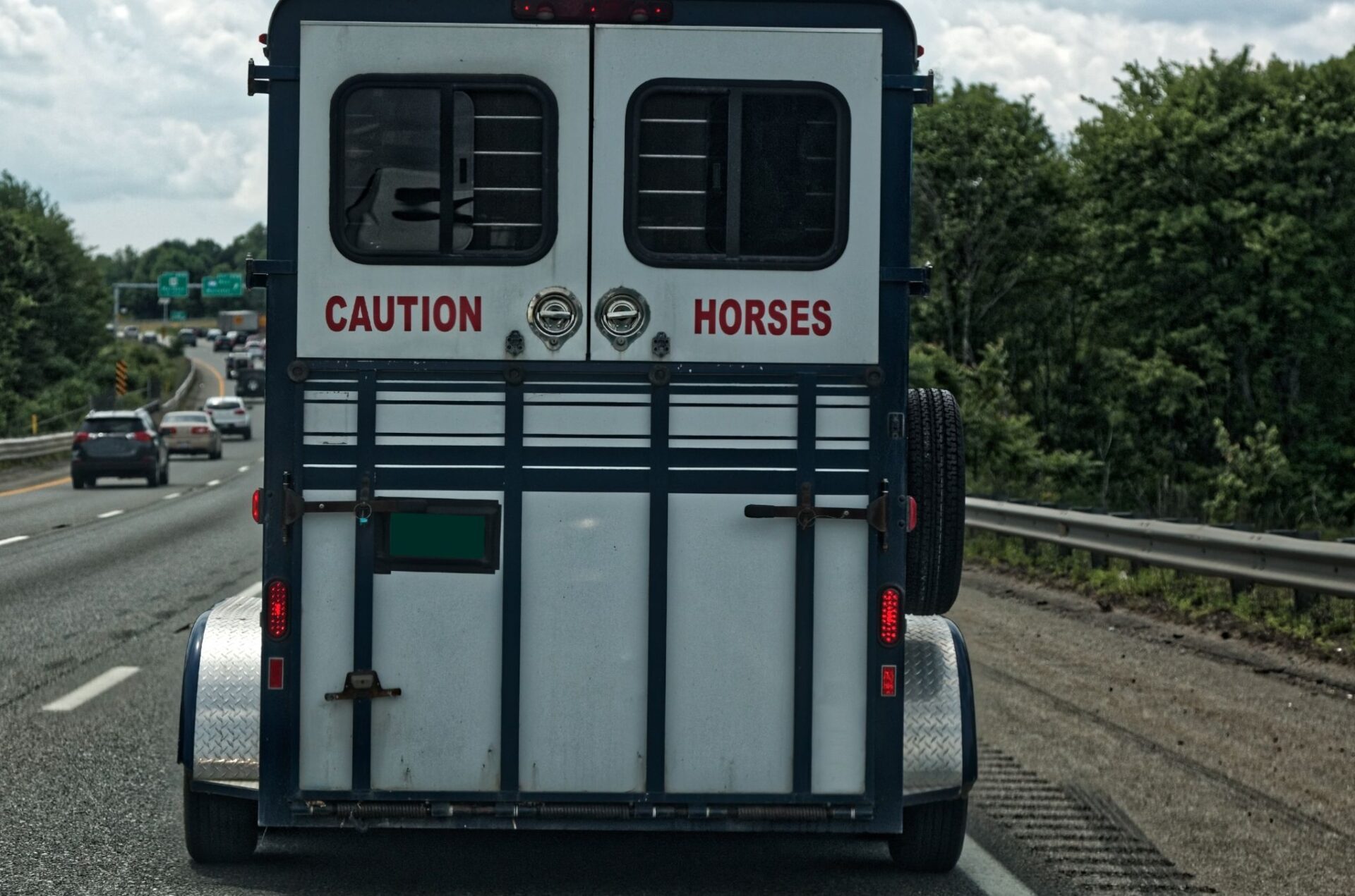 Trasporto cavalli e sicurezza: alcune note per evitare infortuni