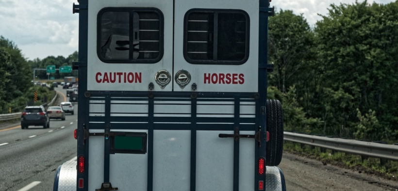 Trasporto cavalli e sicurezza: alcune note per evitare infortuni