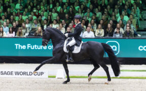 Verboomen e Zonik imbattibili nella FEI Dressage World Cup™ di 's-Hertogenbosch