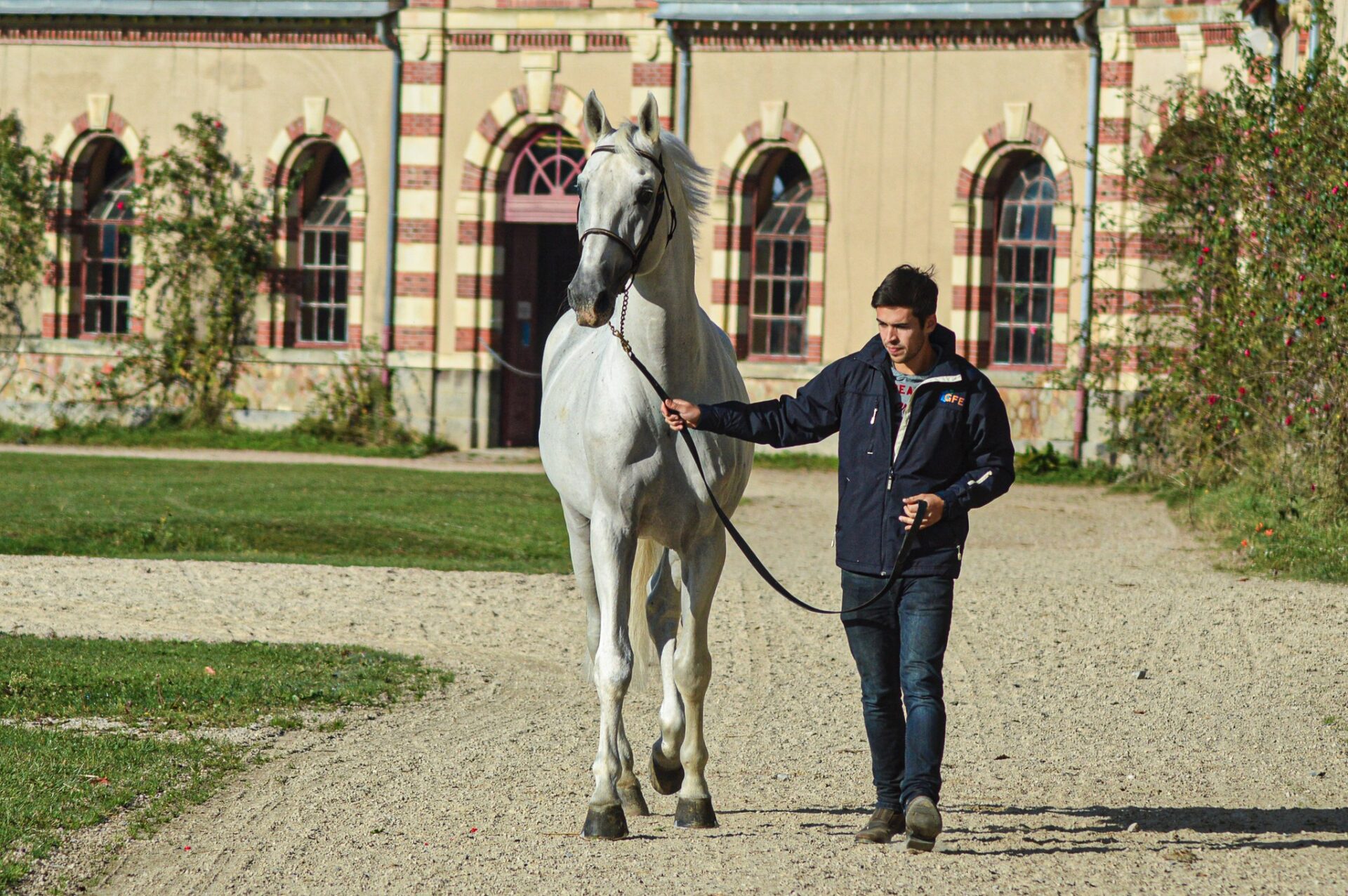 Addio a Stakkatol, padre della moderna selezione del salto ostacoli