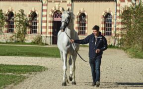 Addio a Stakkatol, padre della moderna selezione del salto ostacoli