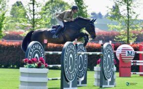 Alberto Zorzi detta la linea nella gara alta odierna del CSI2* gorlese