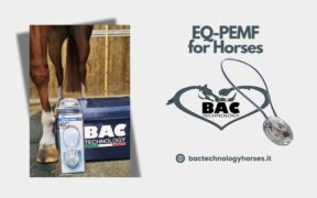 Bozza automatica 278