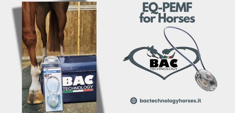 Bozza automatica 278