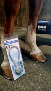 EQ‑PEMF: tecnologia a campi elettrici pulsati al servizio del benessere del cavallo 2