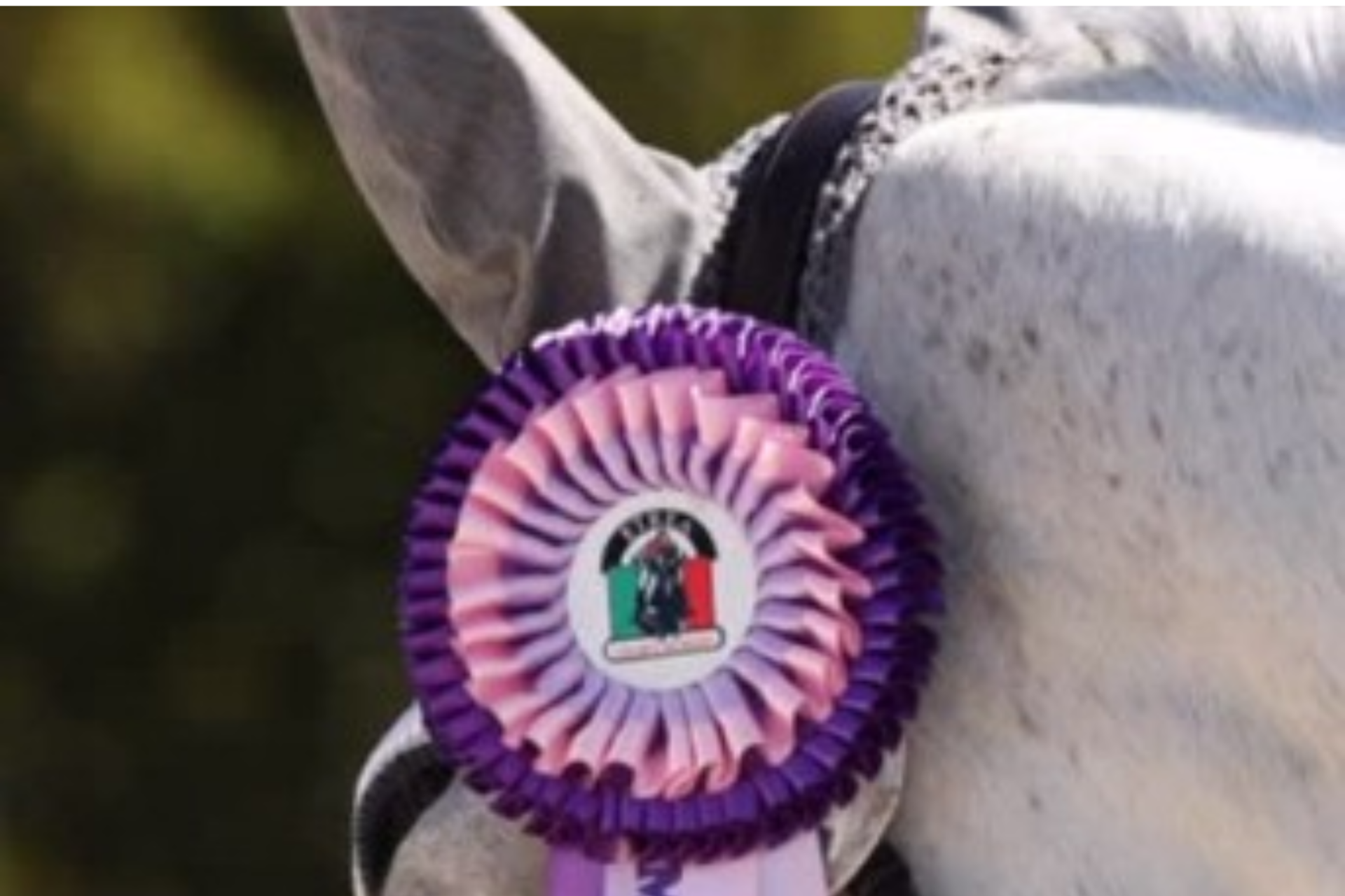 Gran Premi Naz. A5*: ecco i risultati 31