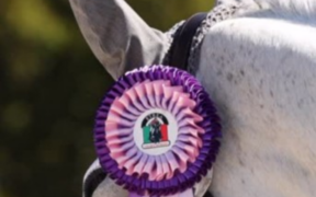 Gran Premi Naz. A5*: ecco i risultati 31