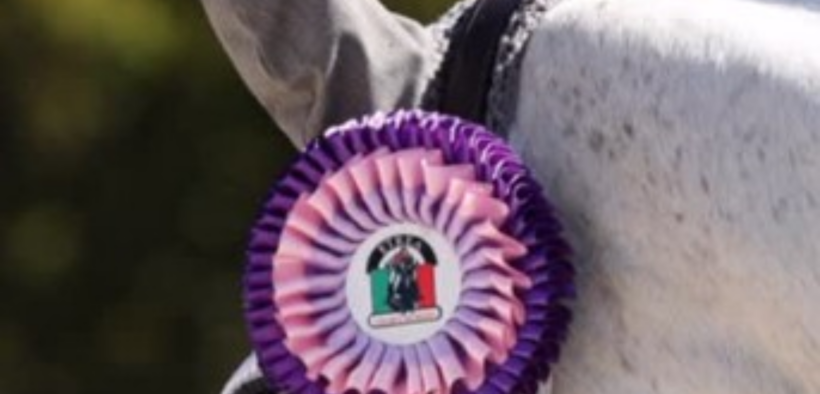 Gran Premi Naz. A5*: ecco i risultati 31