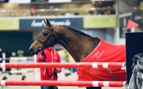 La nuova generazione di stalloni da 1.60 m con figli approvati al massimo livello