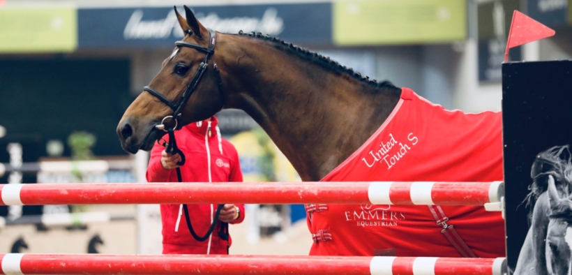 La nuova generazione di stalloni da 1.60 m con figli approvati al massimo livello