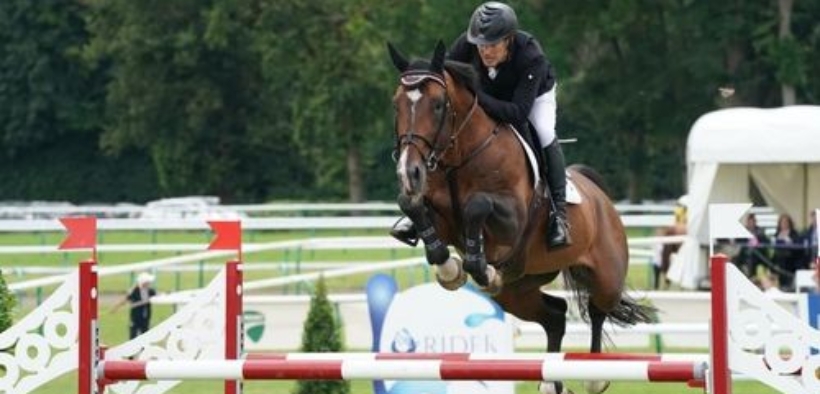 La nuova generazione di Top Sires: chi si distingue?