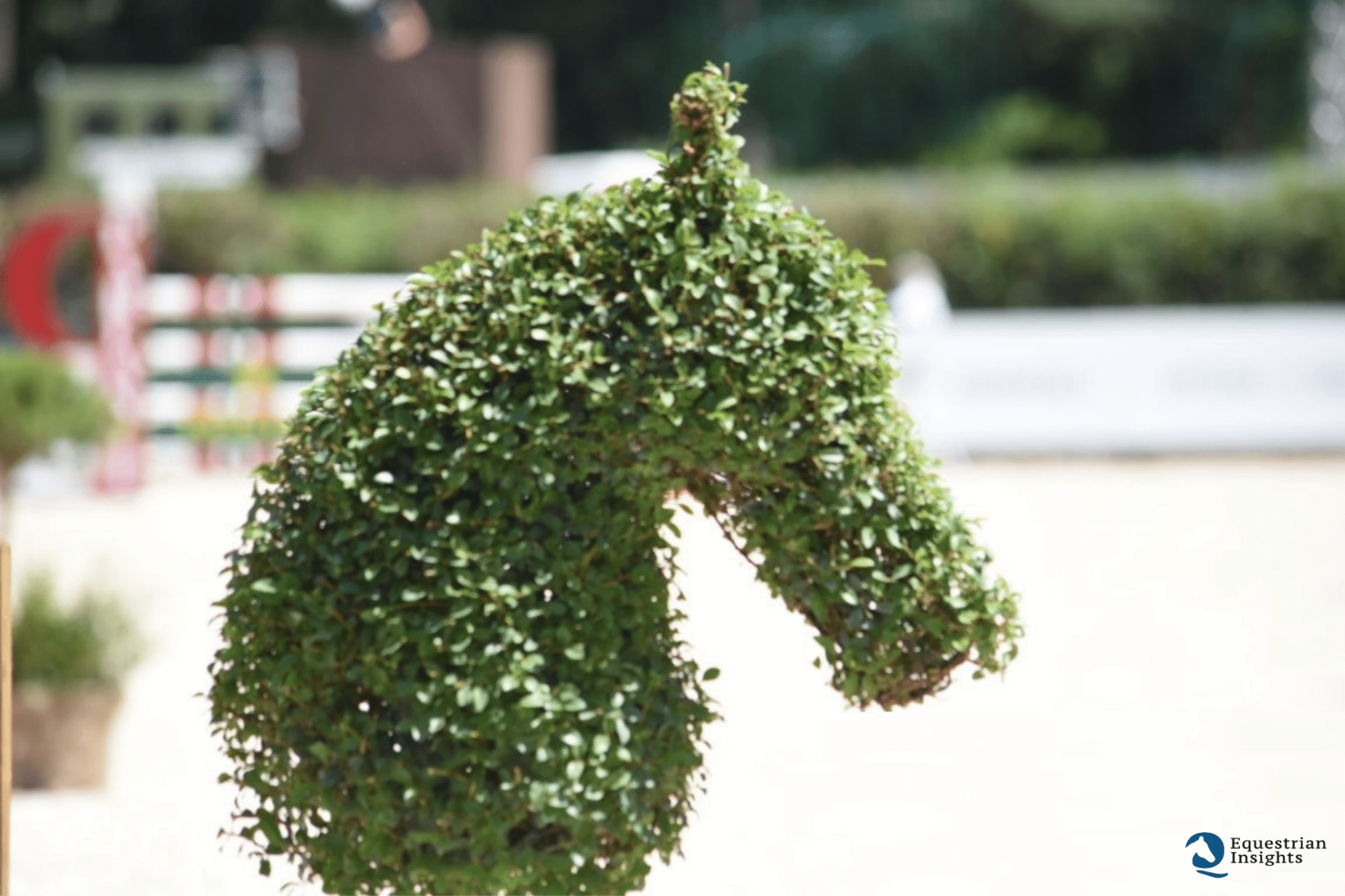 Piazza di Siena 2026: il programma delle gare nazionali