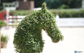 Piazza di Siena 2026: il programma delle gare nazionali