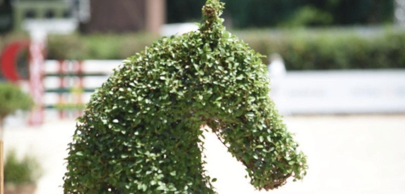 Piazza di Siena 2026: il programma delle gare nazionali