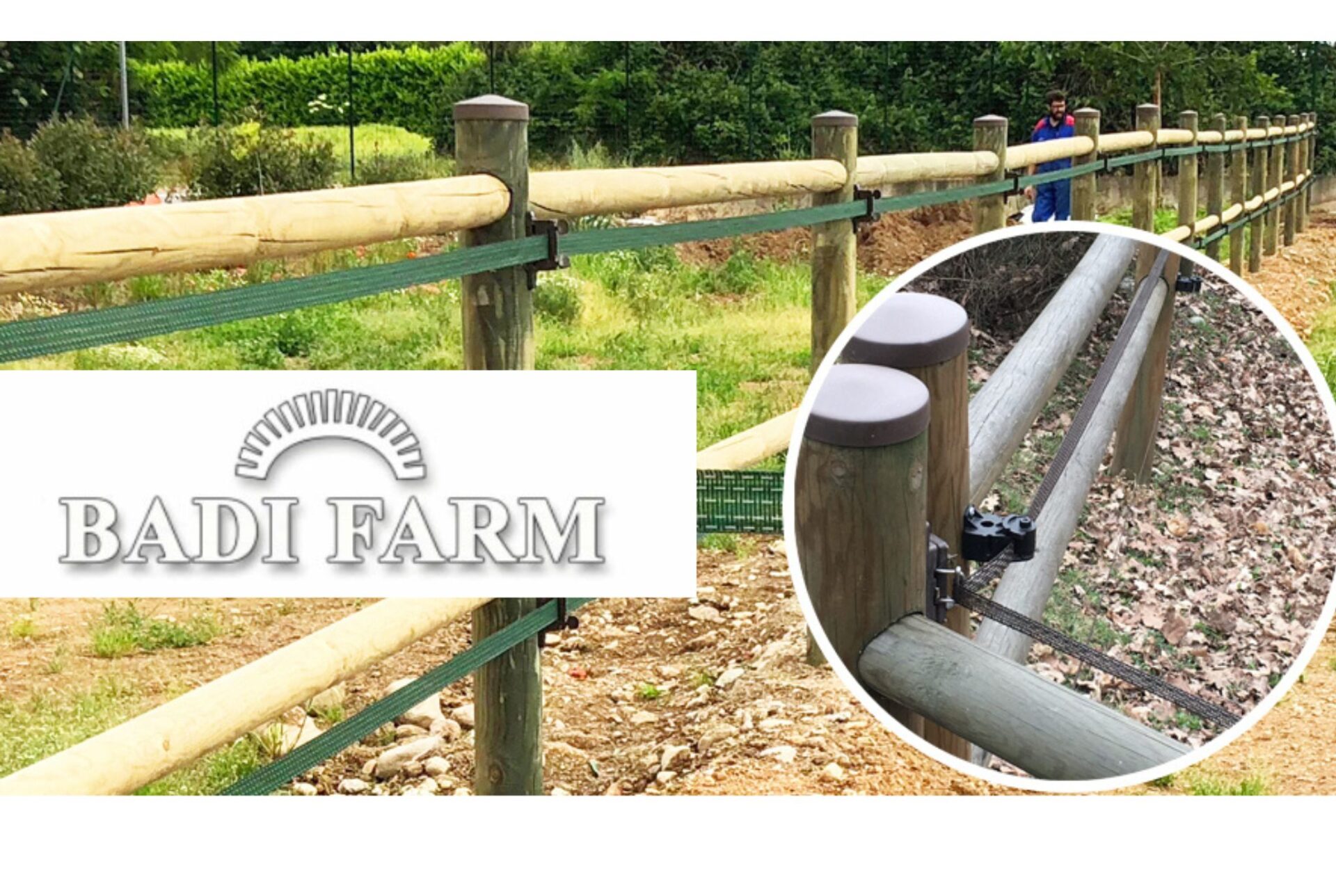Recinzioni Badi Farm: tutto ciò che serve per il cavallo che vive all’aperto 2