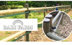 Recinzioni Badi Farm: tutto ciò che serve per il cavallo che vive all’aperto 2