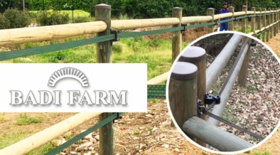 Recinzioni Badi Farm: tutto ciò che serve per il cavallo che vive all’aperto 2