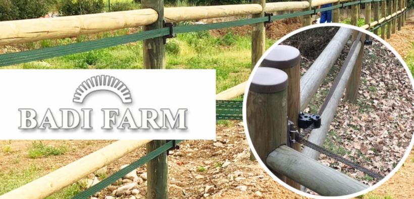 Recinzioni Badi Farm: tutto ciò che serve per il cavallo che vive all’aperto 2