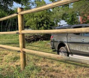 Recinzioni Badi Farm: tutto ciò che serve per il cavallo che vive all’aperto