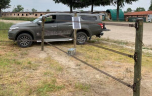 Recinzioni Badi Farm: tutto ciò che serve per il cavallo che vive all’aperto 3