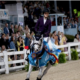 Grand Prix Internazionali: ecco i podi (# week 22)