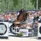 Il GP di Versilia Horse Show va a Katharina Rhomberg. Bene Camilli e Gaudiano