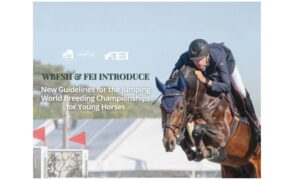Nuove linee guida per i Campionati Mondiali di Allevamento di Salto Ostacoli per Cavalli Giovani