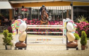A Matteo Checchi il Grand Prix di Bedizzole, Bassi 3° (CSI2*)