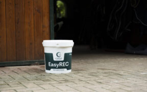 EASYREC, il supporto ideale per il recupero del tuo cavallo!