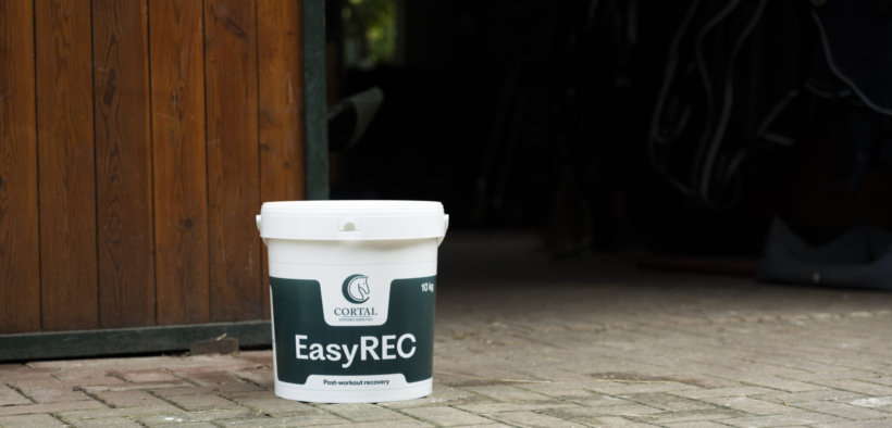 EASYREC, il supporto ideale per il recupero del tuo cavallo!