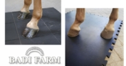 Focus su tappeti e coperture in gomma con Badi Farm