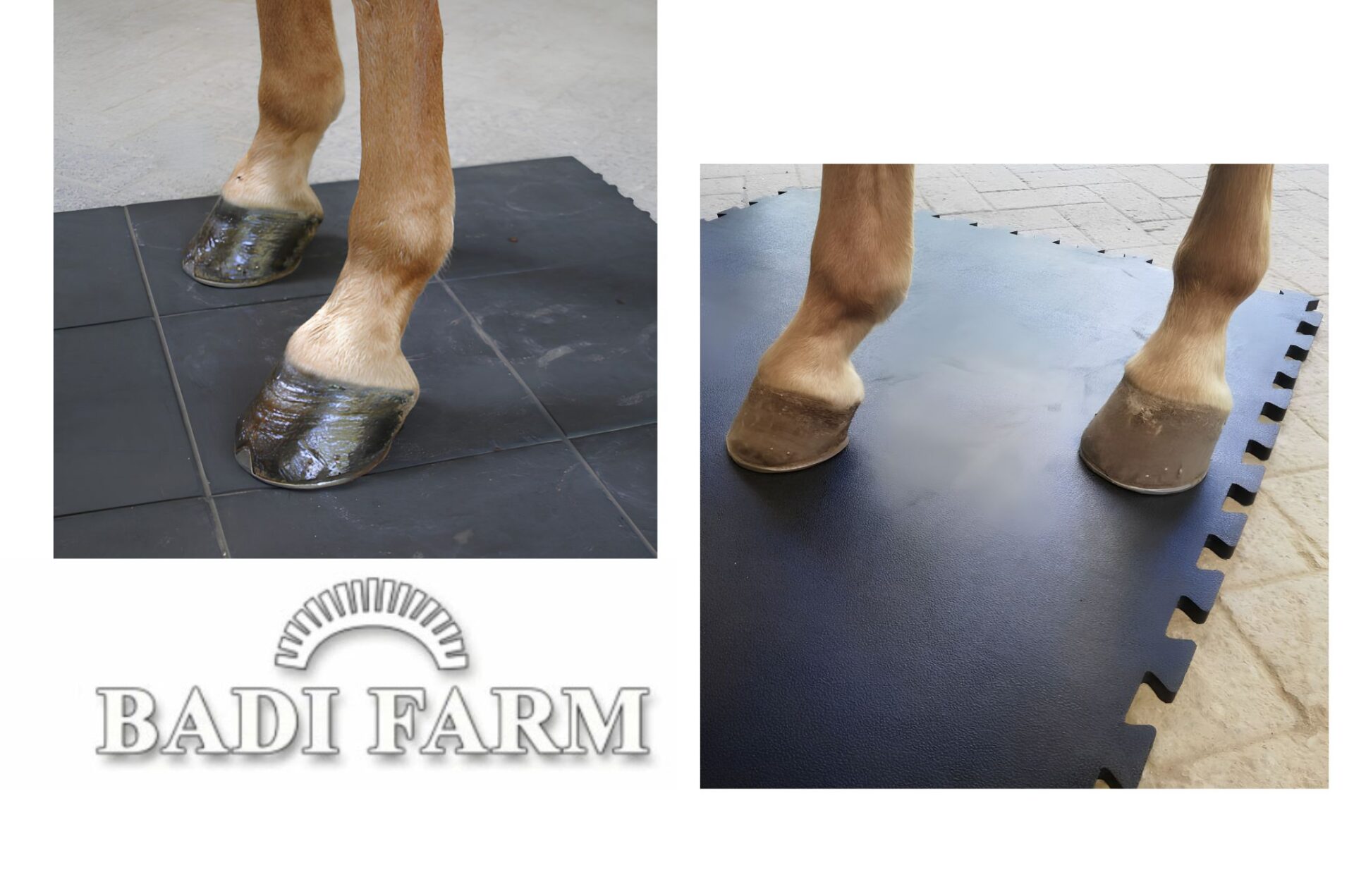 Focus su tappeti e coperture in gomma con Badi Farm