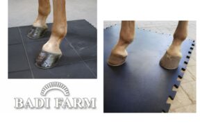 Focus su tappeti e coperture in gomma con Badi Farm