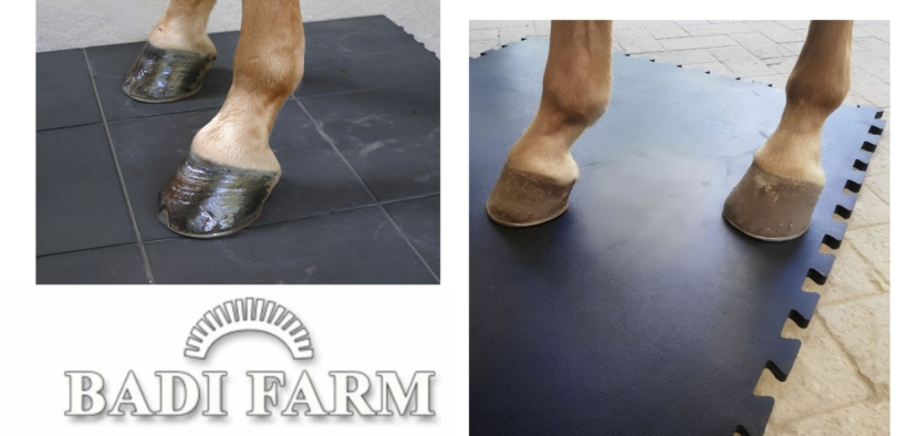 Focus su tappeti e coperture in gomma con Badi Farm