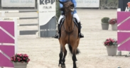 Ogni comportamento ha un senso: leggere il cavallo oltre l’apparenza