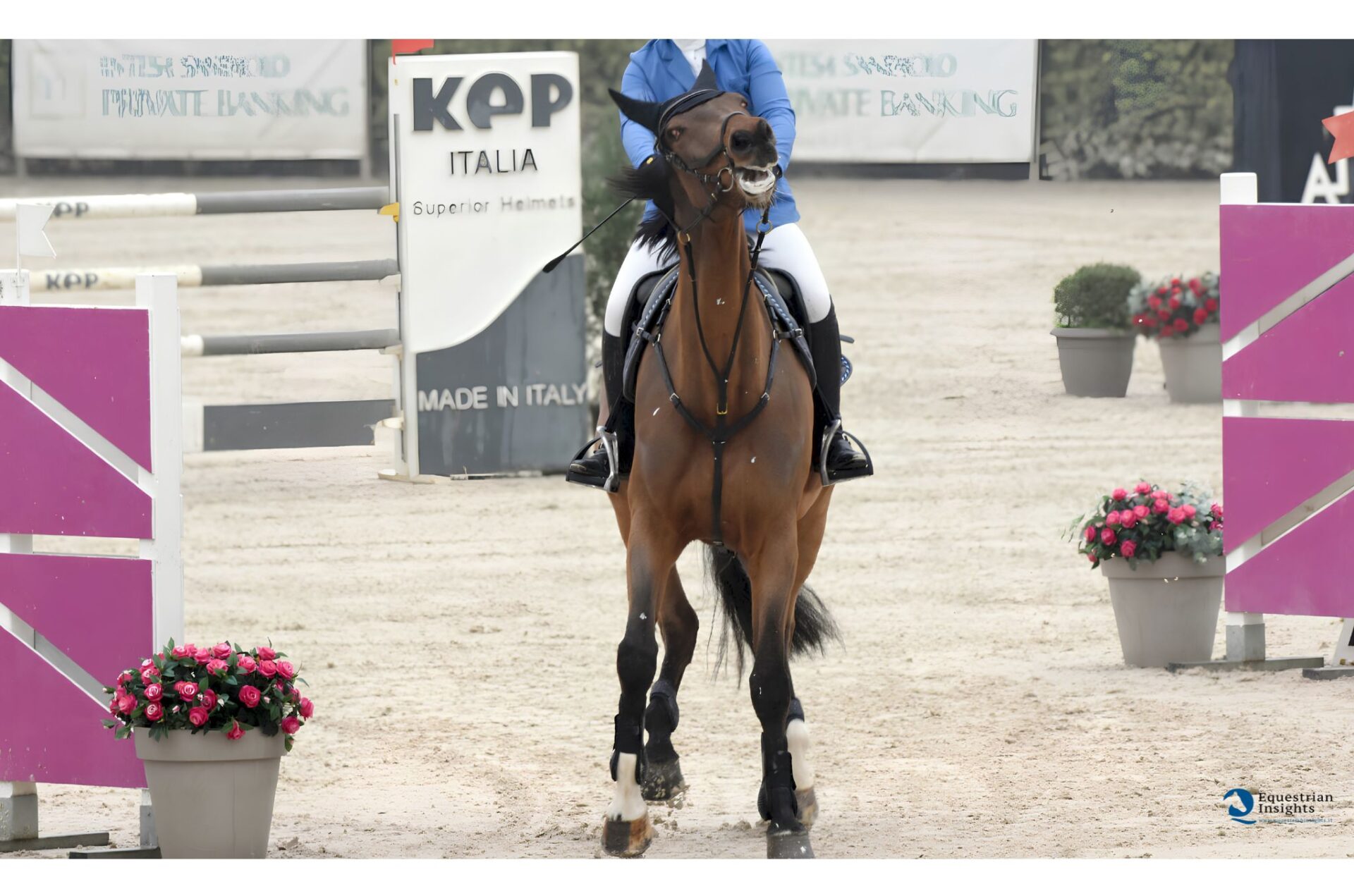 Ogni comportamento ha un senso: leggere il cavallo oltre l’apparenza