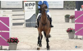 Ogni comportamento ha un senso: leggere il cavallo oltre l’apparenza