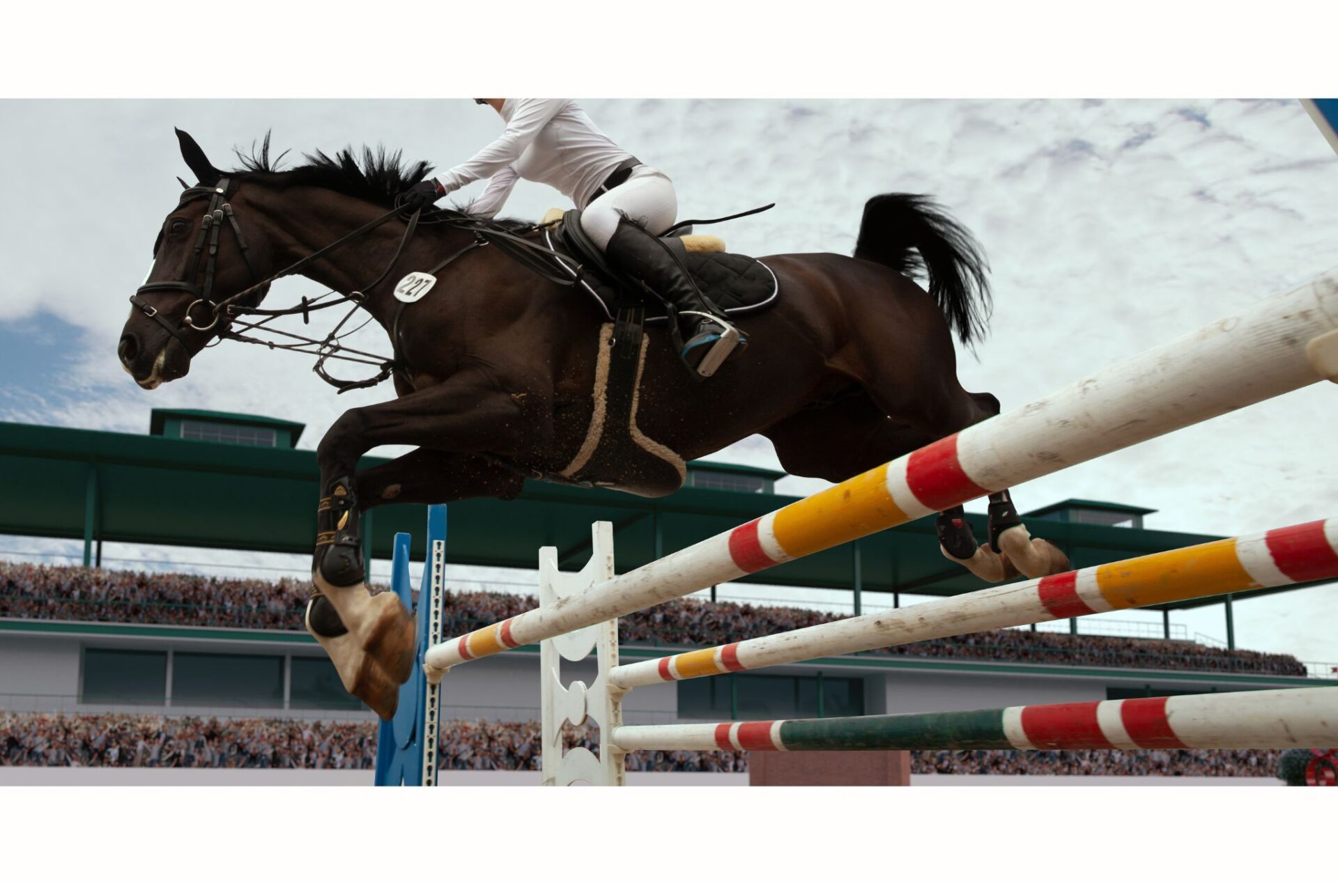 FEI Annual Report: l’Italia cresce e raggiunge cifre record