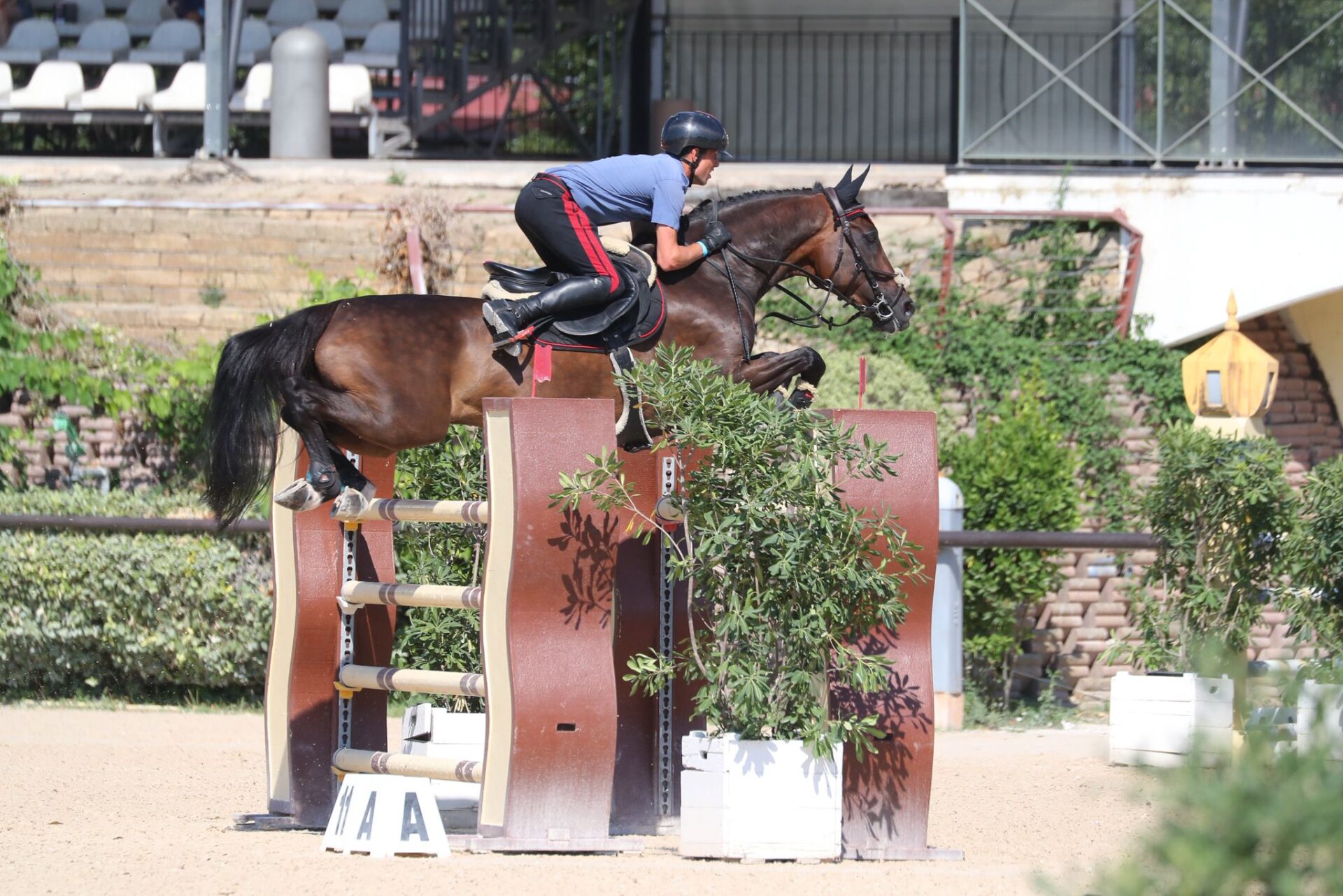 Francesco Correddu sul podio nel Grand Prix di San Giovanni in Marignano (CSI2*)