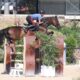 Francesco Correddu sul podio nel Grand Prix di San Giovanni in Marignano (CSI2*)