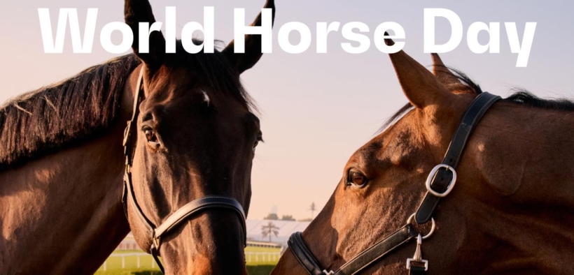 La FEI celebra la Giornata Mondiale del Cavallo (11 luglio)