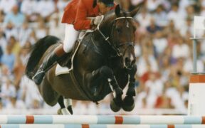 L’influenza del padre della madre: quali stalloni materni nel jumping dal 2015?